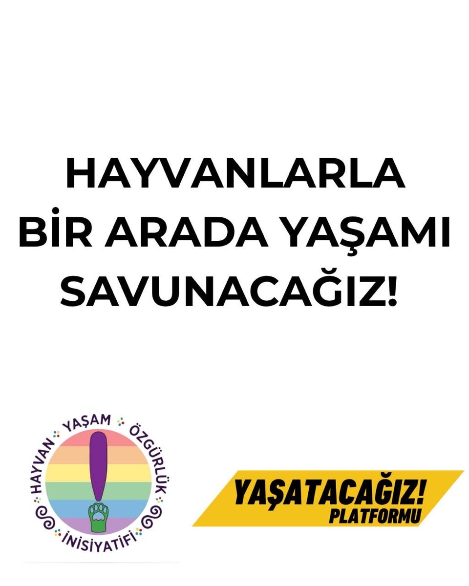 hayvan_yasam's tweet photo. HAYVANLARLA BİR ARADA YAŞAMI SAVUNACAĞIZ! 
 
Katliam Yasası ile beraber mahalle sakinlerimiz hayvanların izlerini yok etmeye çalışanlar şimdilerde hayatın her anından hayvanları silmeye çalışıyorlar. Bazı restoran ve marketlerin hayvanları içeri almayacağına dair paylaşımlarını dehşet ve endişe ile izliyoruz. 
 
Hayvanların bizlerle birlikte bir alanı paylaşması o işletmeyi hijyen koşulları konusunda sıkıntıya sokacağı dezenformasyondan başka bir şey değildir. 
 
Bir hayvandan hastalık kapabilir misiniz? Evet, bir insandan da kapabileceğiniz gibi... Bir hayvanın dışkısına dokunup elinizi yıkamadan ağzınıza götürürseniz hastalık kapabilirsiniz. Ellerimizi otobüs demirlerine değip, paraya dokunup, kapı kolunu tuttuğumuzda da aynı hastalıkları kapma olasılığımız vardır. Restoranlarda yıkanmadan servis edilen sebze ve meyveler hijyen açısından çok daha büyük riskler barındırır. Yani burada sorun hayvan değil, yemek yemeden önce ellerimizin ya da sebzelerin yıkanmamasıdır. Bunu yıllarca kamu spotlarında da gördük. 
 
Hayvanlara açılan bu savaşta hayvanları içeri almayacağını, onlarla kurduğumuz kültürü silmeye çalışanları boykot edeceğimizi, hayvan dostlarımızla kurduğumuz bağı zedelemeyecek olan işletmelerle dayanışma halinde olacağımızı beyan ederiz. 
Bu, sadece hayvan hakları ihlali değil, insanların yaşam şekillerine de bir müdahaledir! 
 
Bunu kabul etmiyoruz! Hayvanlarla bir arada yaşamı savunuyor ve bundan vazgeçmiyoruz!