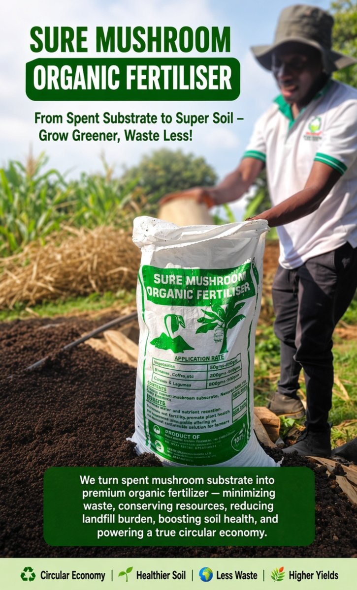sure_happy's tweet photo. We utilize spent mushroom substrate as a key raw material in producing our Sure Mushroom Organic Fertilizer. This approach minimizes agricultural waste by repurposing what would otherwise be discarded, conserves valuable natural resources, and significantly reduces the burden on landfills. Incorporating the nutrient-rich substrate enhances soil health by improving structure, fertility, and microbial activity. By closing the loop in this way, we actively foster circular economy principle. Transforming  by-products into high value inputs while advancing environmental sustainability and supporting regenerative farming practices for healthier ecosystems and more resilient food systems.