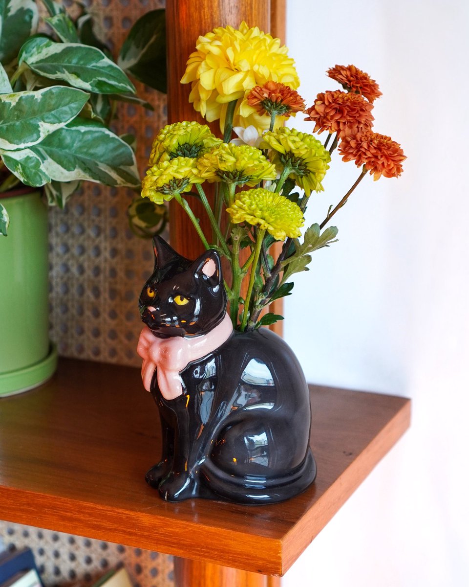 hechoportina's tweet photo. Gatito florero 💝 mi nueva pieza favorita https://t.co/si4lgAdmoF