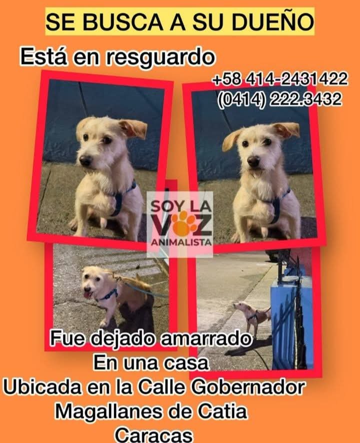 PerroUsuario's tweet photo. Caso de terceros https://t.co/n0bMYn6c1V