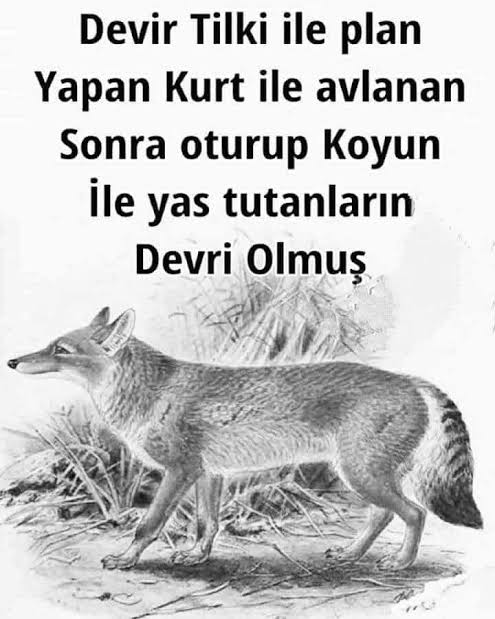 yerlitas_muhsin's tweet photo. @celebimehmeta Dün dempkk ile birlik olup ihanet yasasına evet diyen bugün bu tweet i atmaya hakkı yoktur. https://t.co/zz9OTC85wh