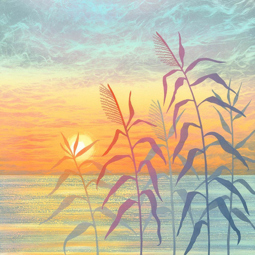 printreb's tweet photo. Serenity is influenced by Japanese woodcuts, with layers of translucent ink creating a soft glow of colour. I imagine the reeds gently moving in a light breeze, touched by the fading light of the setting sun. https://t.co/OeubcPg3fe #Monotype #JapaneseWoodcut #LandscapeArt https://t.co/G7FaQepxzw