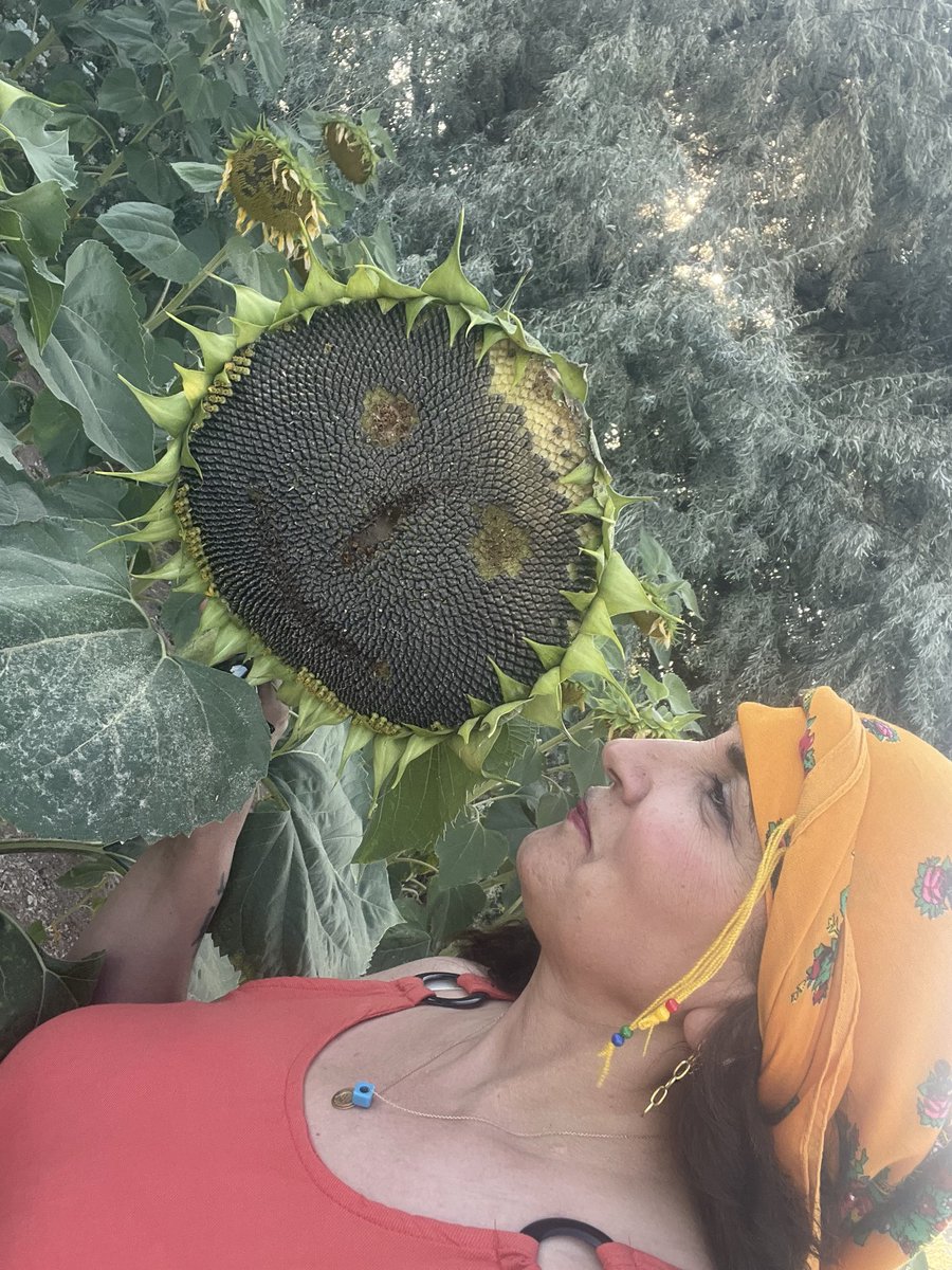 Ceyloergus's tweet photo. Güne bakan 🌻
Bende güne bakana bakıyorum 🌻 https://t.co/1bLolESWJp