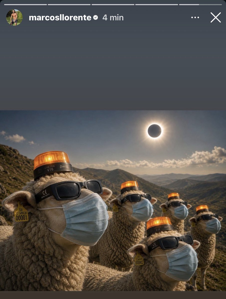 Alissonofabitch's tweet photo. Ojalá Marcos Llorente, mire mañana fijamente el eclipse sin gafas protectores y terminé la temporada jugando de extremo derecho en el equipo de la ONCE. https://t.co/W997mVcPIe