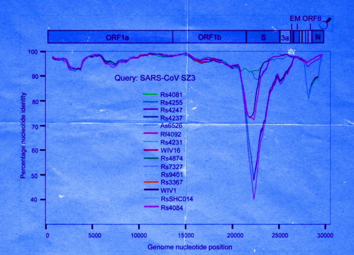 JonMFleetwood's tweet photo. SARS-CoV-2’s Origin Story Relies on a Coronavirus Reference Library Built by the Same Gov’t-Funded Network That Planned SARS-CoV-2-Like Viruses Before the Pandemic

DARPA’s PREEMPT program sought to "predict" future pathogens’ evolutionary and wildlife backstories before outbreaks—then EcoHealth, WIV, and Baric submitted DEFUSE into it.