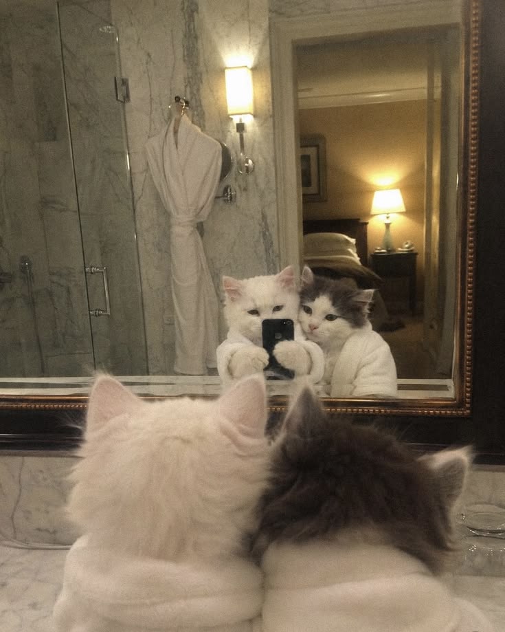 nekocatts's tweet photo. Me + you = <3 https://t.co/5kFGF00cPi