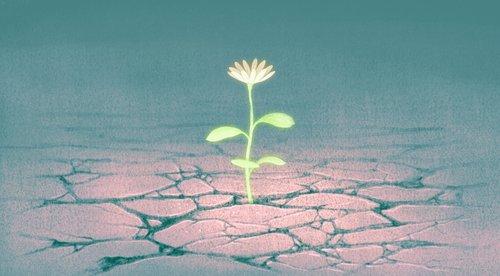 twp_financial's tweet photo. From the economy to climate change, our growing celebration of resilience says less about our strength than about a world we increasingly expect to be unstable. https://t.co/0k64ib4cYr https://t.co/Gtpn1FzQ5x
