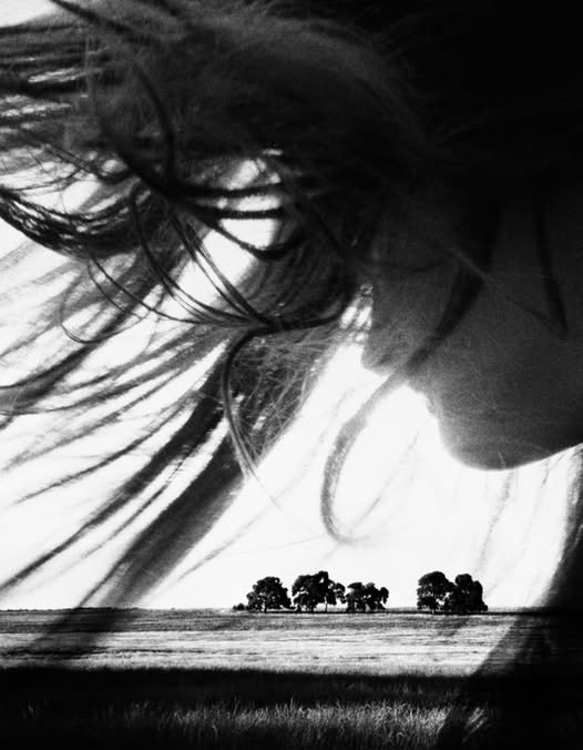 literlandweb1's tweet photo. "Lo que no se siente no se recuerda, porque sin emoción no hay memoria".
Siri Hustvedt https://t.co/3CrpPSPxLQ