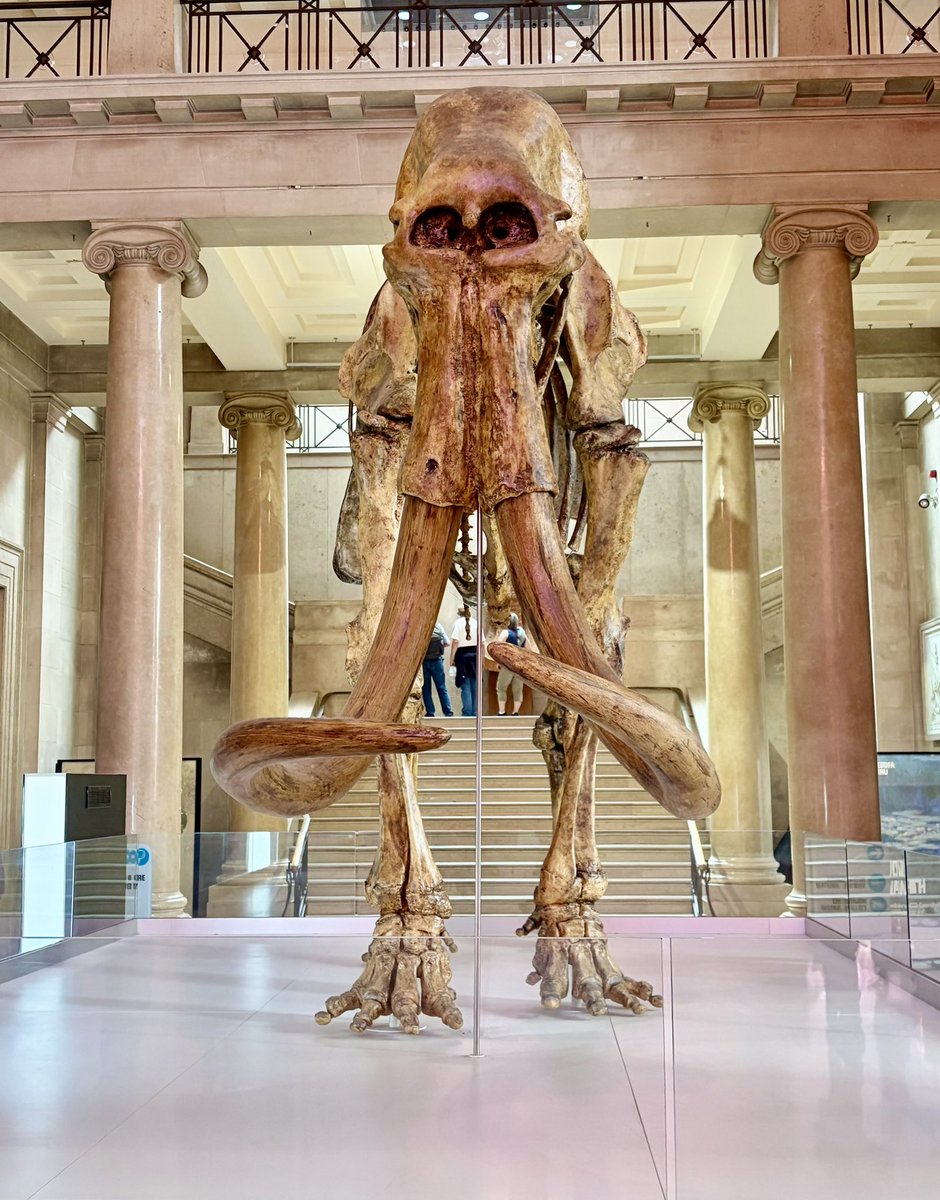 MyRefreshRate's tweet photo. Well seen this today… Why do I find this so crazy that it once was this beautiful animal that roamed Wales! 🏴󠁧󠁢󠁷󠁬󠁳󠁿 https://t.co/5eXIB5Y0A2