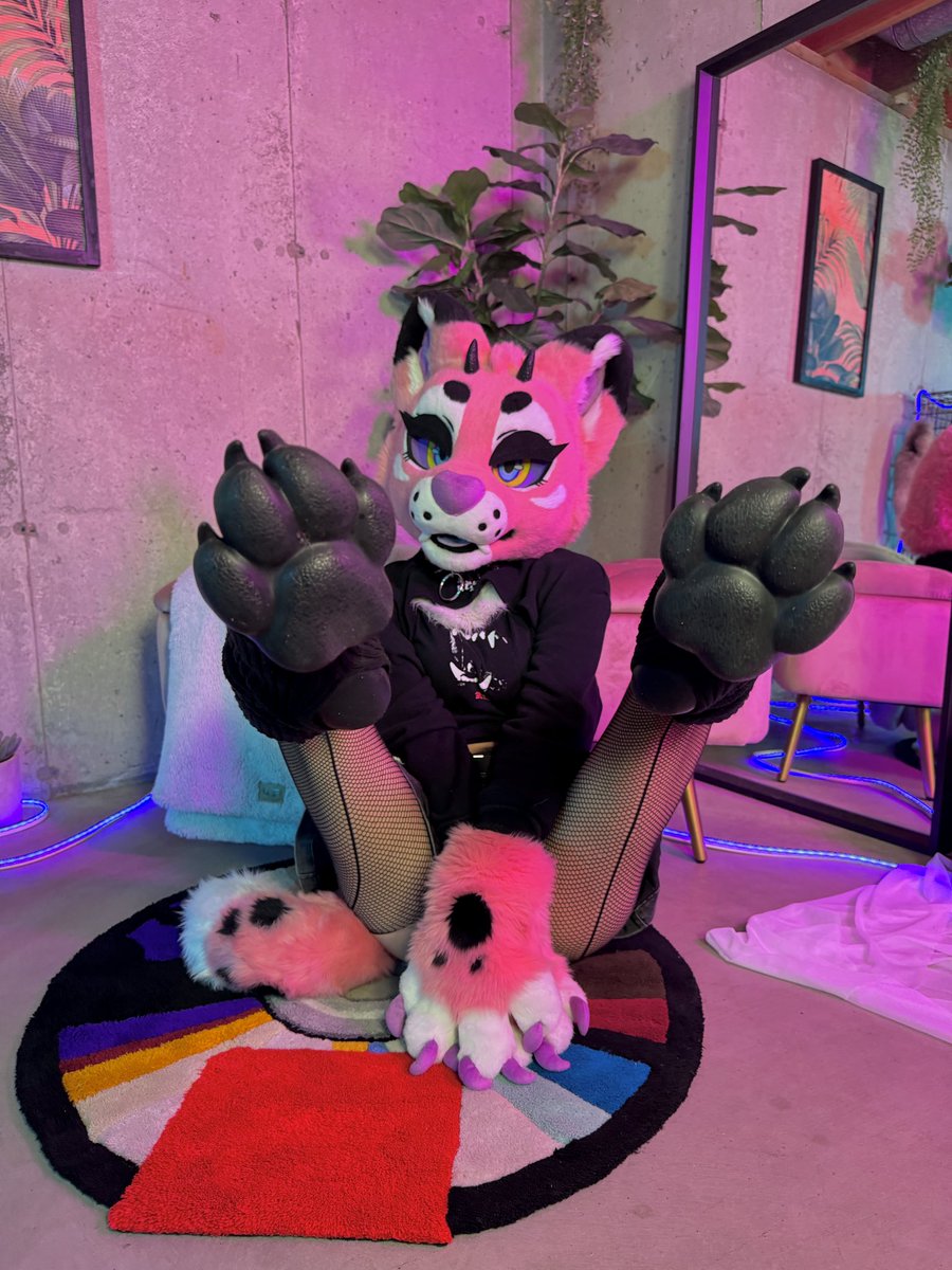 KiraxxxKat's tweet photo. Right in your face 🐾 https://t.co/xO7CGxGAzh
