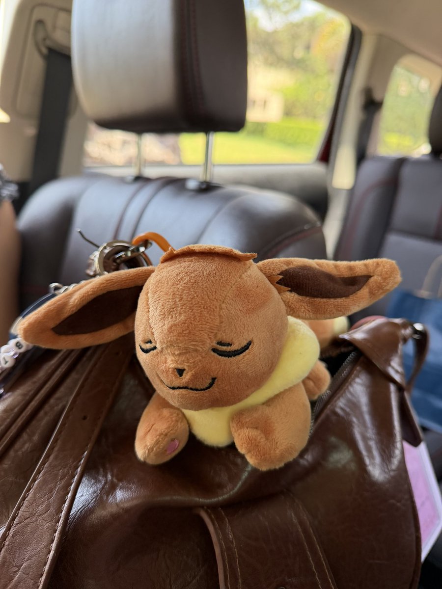 giddymatthew's tweet photo. had eevee on my bag and showed fuma so he was trying to look for eevee on him 😭😭😭 https://t.co/Hrer2MTF6d
