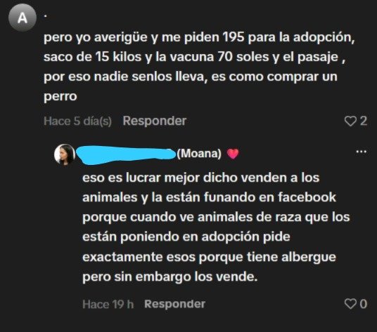 OKinguwu's tweet photo. Varias personas en tiktok también se dieron cuenta de este comportamiento en defensiva cada vez que trataba de hacer seguimiento los adoptantes a esta señora y siempre da excusas que nada que ver https://t.co/xrFlMWCXWj