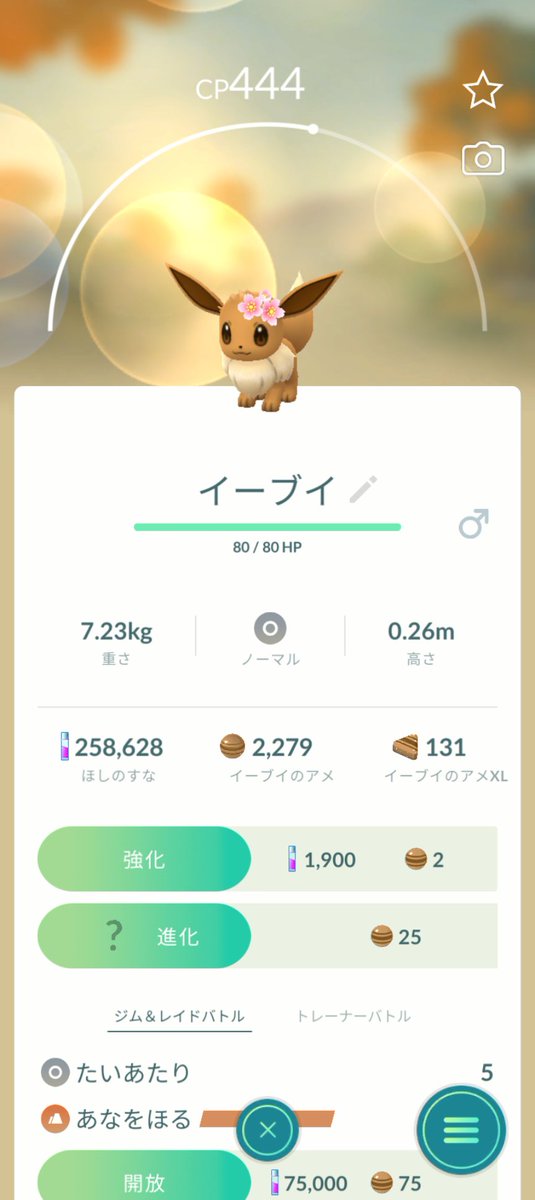 ryunosuke3618's tweet photo. @mk8jdaa コメント失礼致しますm(_ _)m
画像のイーブイ、ニンフィア出せるのですが…リザードン帽ピカチュウじゃ難しいですよね？？ https://t.co/DXegx2dVd7