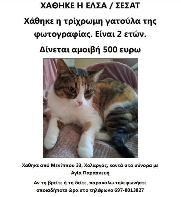 KatKatPt's tweet photo. 🆘️🆘️🆘️
Χάθηκε η Έλσα απο Μενιππου 33 Χολαργός κοντά στα σύνορα με Αγία Παρασκευή 
2 ετών κ τριχρωμη 
Για οποιαδήποτε πληροφορία καλέστε άμεσα στο τηλ 
Rt 🙏 🙏 🙏 https://t.co/1dWIkuEI9B