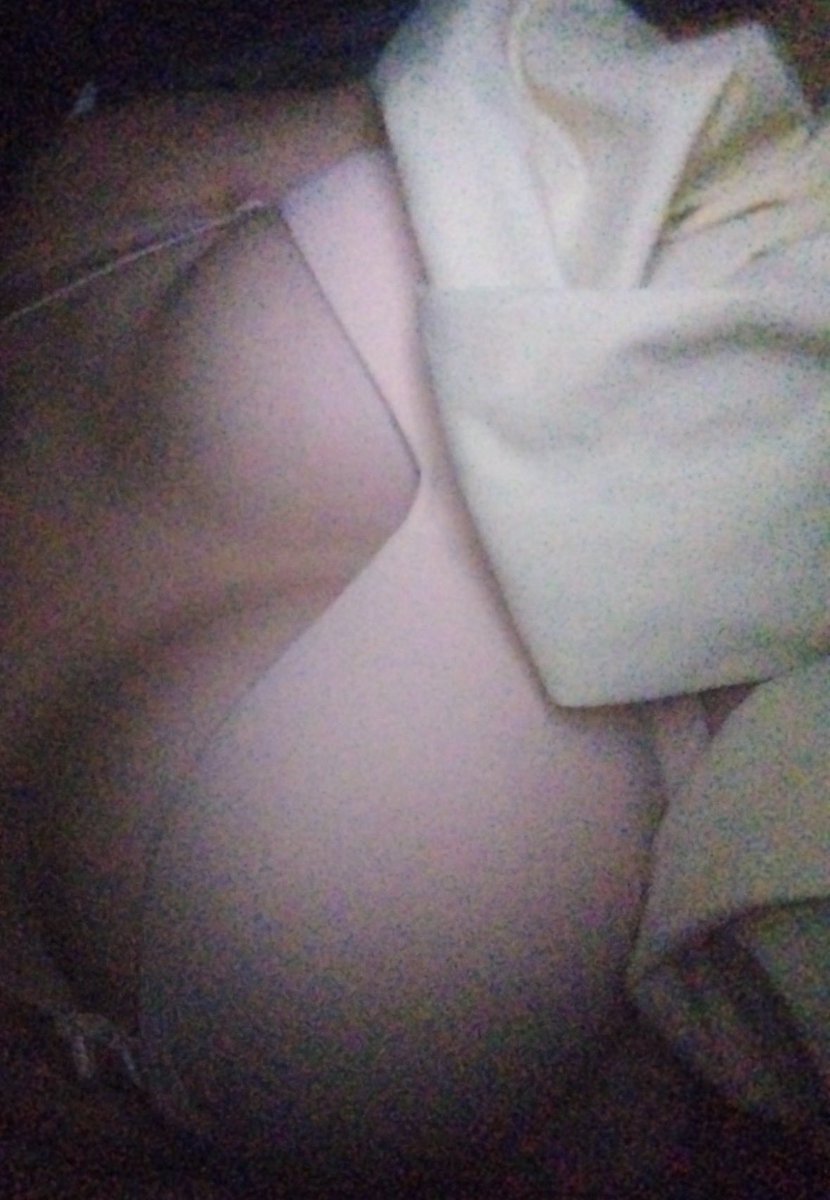 pawsieslove's tweet photo. goodmorning ! my throne is looking rather full today. dont be useless https://t.co/mnC8Ta7YsU