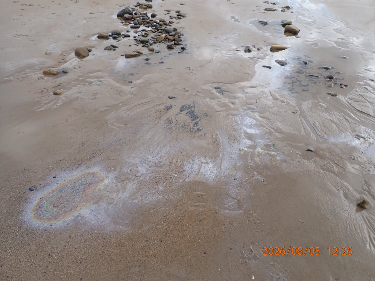 EnvAgencyYNE's tweet photo. ⚠️ We are currently investigating reports of fuel/oil-like pollution at Blyth South Beach. As a precaution, members of the public are advised to keep dogs and other pets away from the area until further notice. https://t.co/4CsUxzUP2q