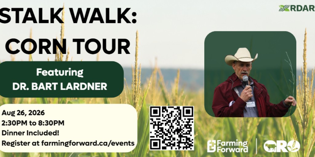 GatewayResearch's tweet photo. STALK WALK
Bussing & Dinner included!
Explore local corn research & silage demos. Dr. Lardner & Byron Long will lead a walk-&-talk comparing silage systems, forage quality, feed value & winter feeding.
Register https://t.co/czf48L9wL6
#CornTour #GRO #FarmingForward #RDAR #ABAg https://t.co/k0BXuUCODS