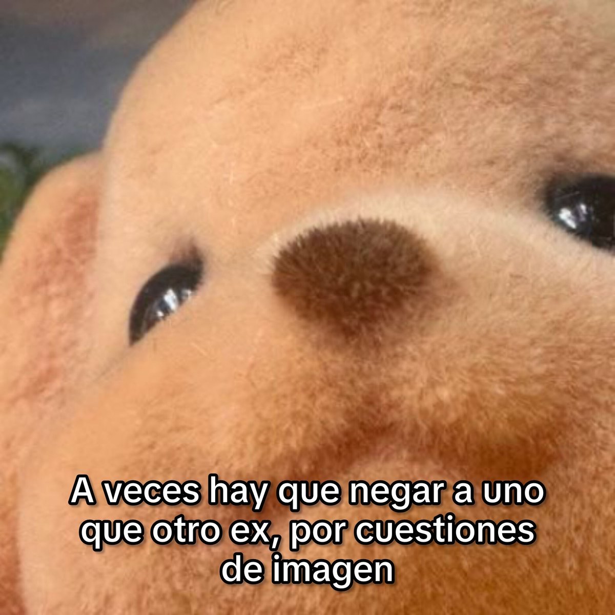 cornulda's tweet photo. https://t.co/WuUIjwFwmR