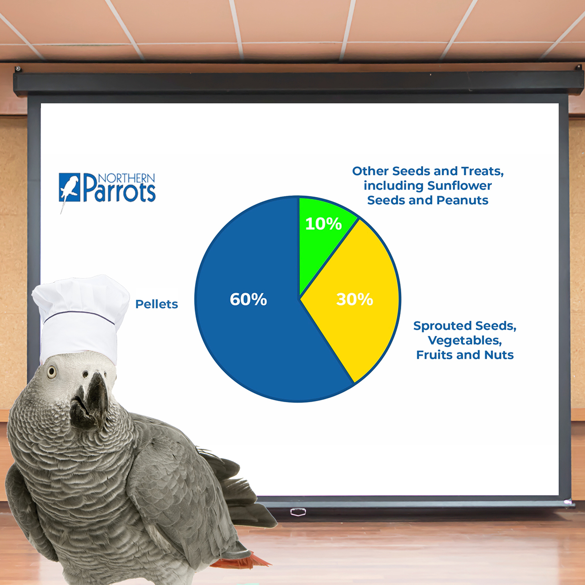 NorthernParrots's tweet photo. Ensure your Parrot has a balanced diet. Do you have any more tips?
#parrottips https://t.co/hEg8QXQmVW