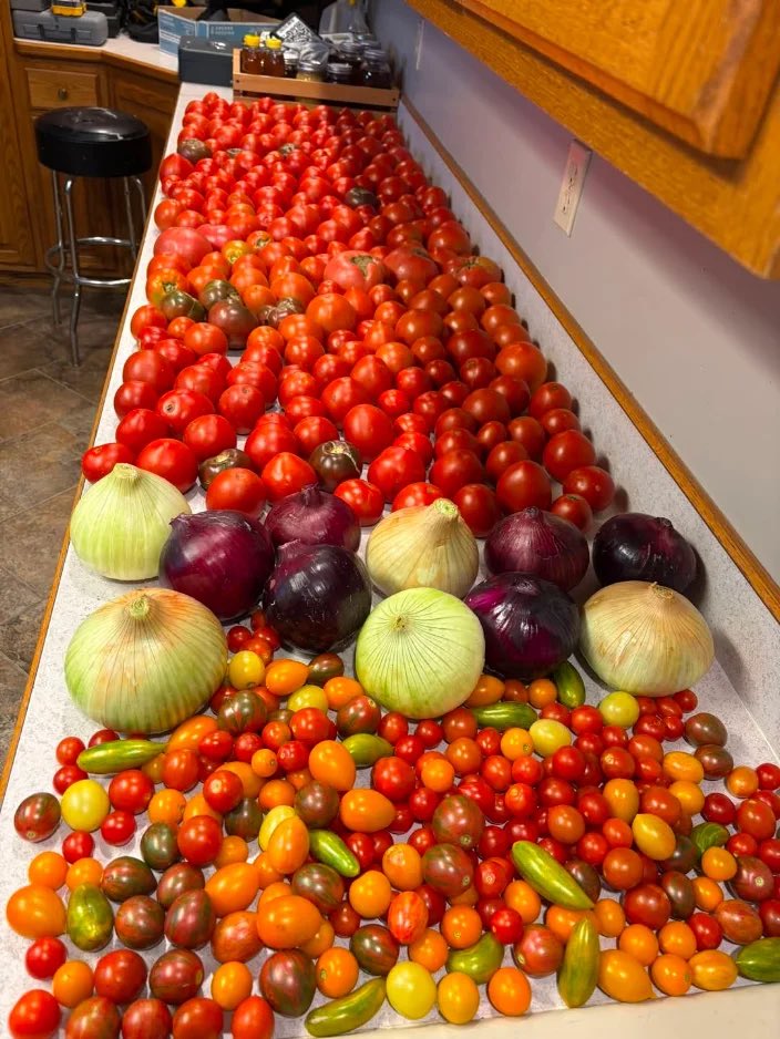 midwestern_ope's tweet photo. POV : your Midwest neighbor said they have a few extra vegetables they’re gonna bring over https://t.co/lF0818HaPX