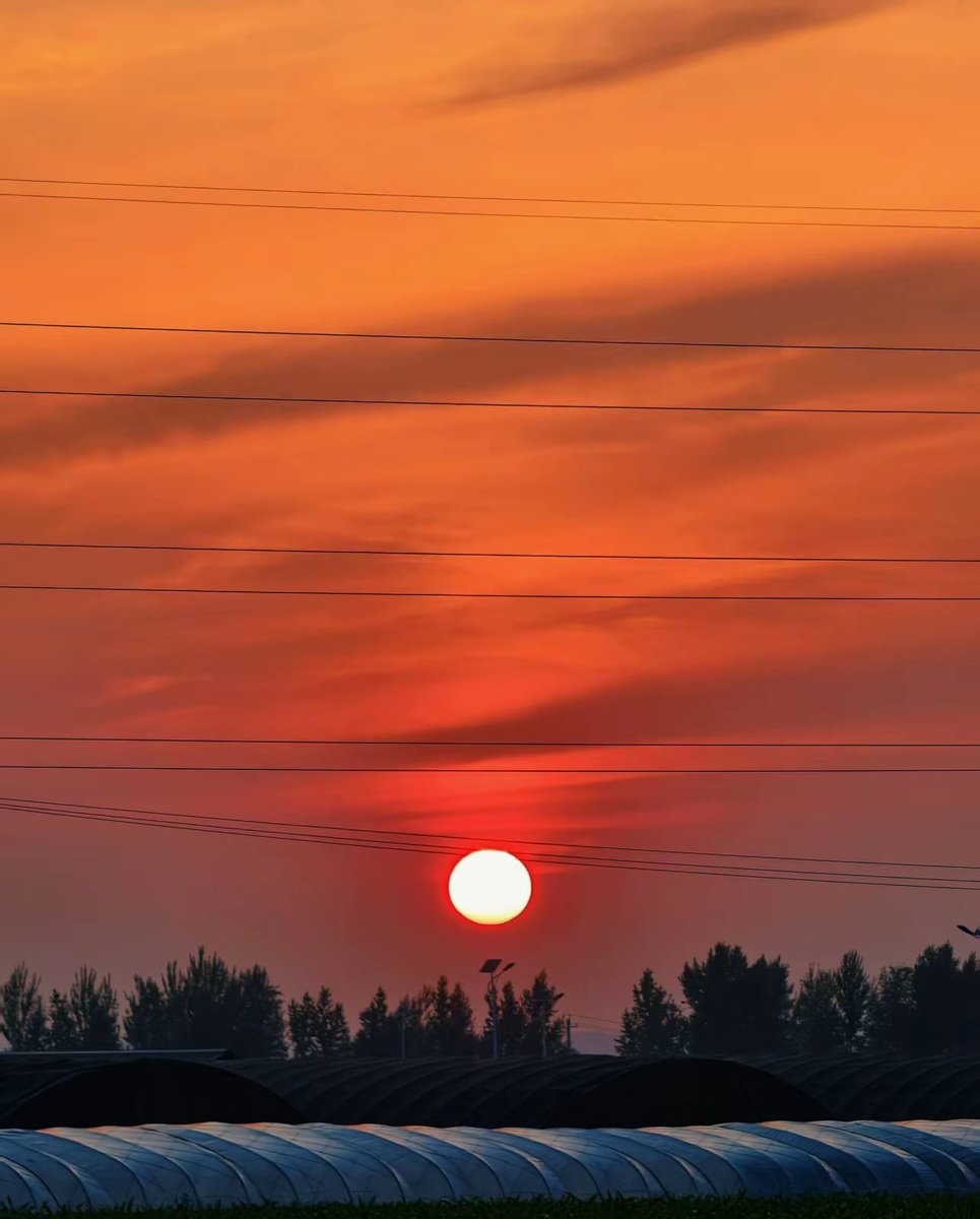 MediumLovers's tweet photo. Just caught the sunrise while waiting for the bus—today’s already softer than yesterday. ， https://t.co/pZOyxl4HrA