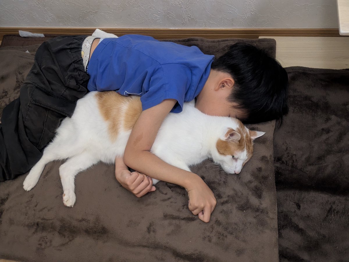 ts_ren825's tweet photo. ビフォーアフター

#しめおちゃん https://t.co/e4N8CCc6e3