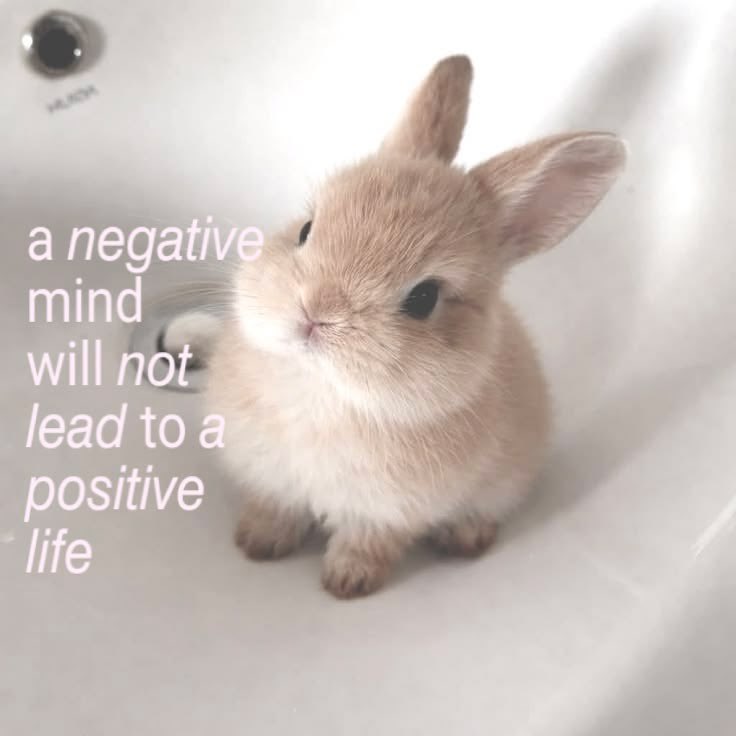 strawbryxbun's tweet photo. let pinterest decide :

⊹ ࣪ ˖ quote
⊹ ࣪ ˖ plushie
⊹ ࣪ ˖ animal
⊹ ࣪ ˖ trinket

awwwww this is so cuteee 🤍 https://t.co/dRnXKJPmDO