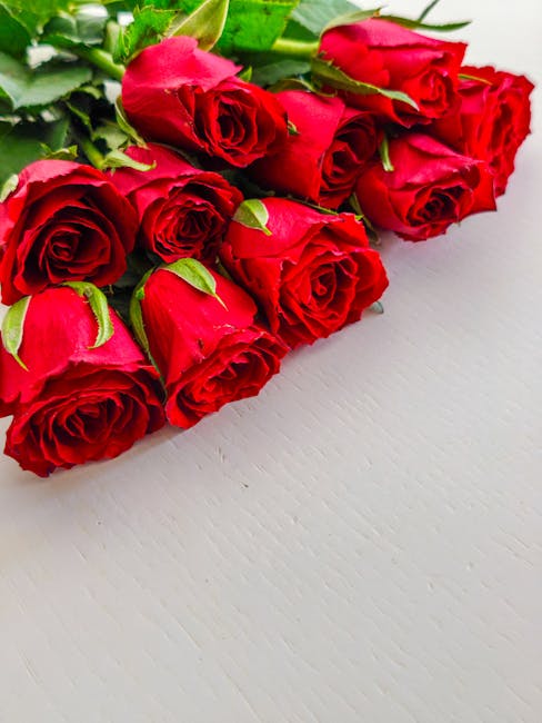 MarishaBreiling's tweet photo. القلب الذي يحب بصفاء ينكر لحظة جميلة. لا claribel crantz📯 https://t.co/3bpXOz50zS