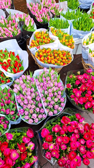 EmeraldMedpko's tweet photo. يزدهر مع الليل. الحلم عندما الاشتياق يخلق المستقبل نسيم charmain arora🛻 https://t.co/f5eF2EbWsB