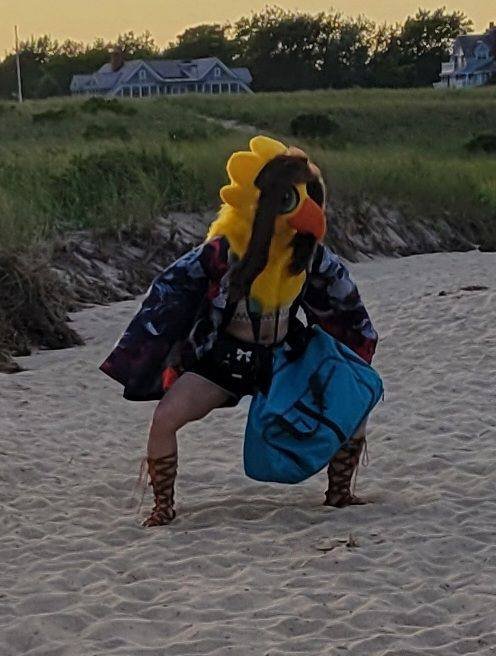 Chirpocalypse67's tweet photo. the birds and the beaches 💛
📸: by my friend Mia! https://t.co/Lt2RRncwxP