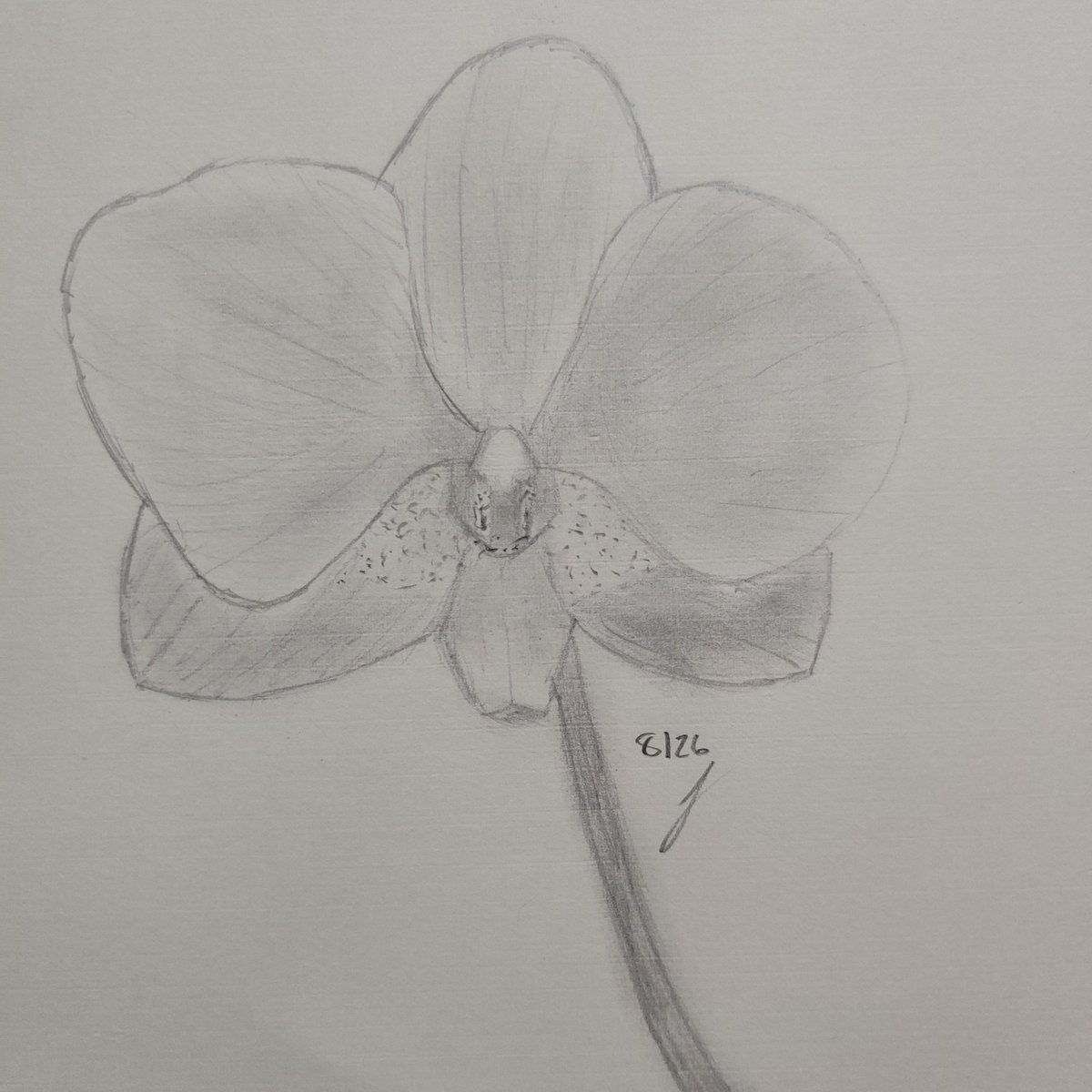 dukelukem420's tweet photo. flowers for friends https://t.co/LLk383c4wO