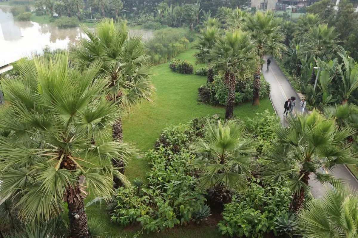 dessalegnmanaye's tweet photo. Why Friendship Park is now the blueprint for public spaces across Ethiopia:

1 BILLION Birr in just 4 years

Addis Ababa’s Friendship Park isn't just a green space—it’s a masterclass in modern urban transformation.
#Ethiopia 
@AbiyAhmedAli @BerhanuTsegaye 
https://t.co/HeW3FB19V0 https://t.co/n59bvgC4Os