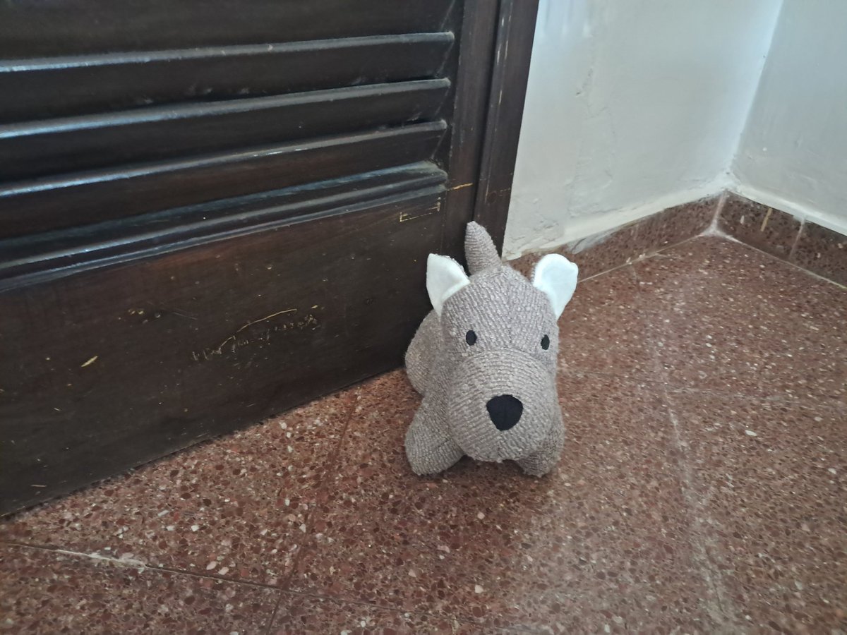 Fren_PY's tweet photo. Faithful and steadfast door holder https://t.co/ctaZI7bhKH