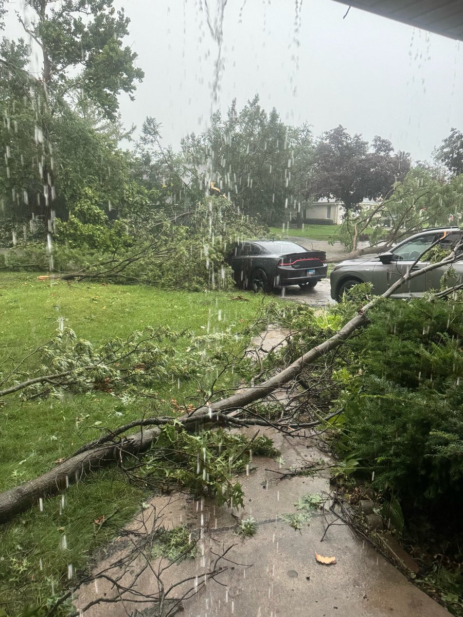 Yellow_Jacket_'s tweet photo. Didn’t get lucky this time https://t.co/zGfWNaFt31