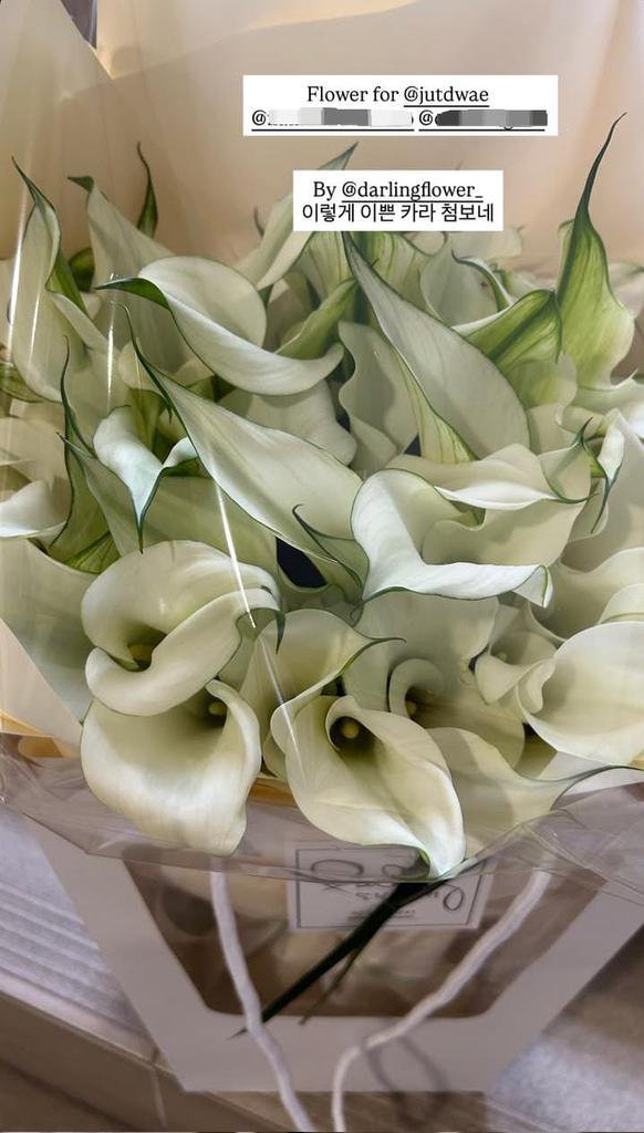 ChangbinGlobal's tweet photo. Autry Global has gifted #Changbin white flowers three times: white calla lilies, white tulips, and now white lilies.

Traditionally, white callas symbolize admiration and elegance, white tulips sincerity and respect, and white lilies purity, sincere affection, and renewal.

#CHANGBINxAUTRY