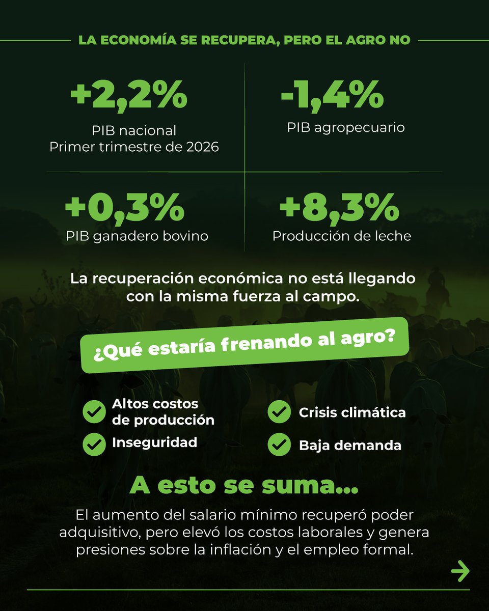 Fedegan's tweet photo. ¿Cómo recibe la ganadería colombiana al nuevo Gobierno? 🇨🇴🐄

🧵👇

Desde FEDEGÁN analizamos el estado actual del sector, sus principales indicadores y los retos que deberá asumir el Gobierno de Abelardo de la Espriella @ABDELAESPRIELLA .

📊 Un análisis profundo de nuestra Oficina de Planeación y Estudios Económicos, facultada y certificada por el DANE para producir y divulgar cifras oficiales de la ganadería colombiana.

#Fedegan @jflafaurie @OscarCubillosP @ABDELAESPRIELLA @jrestrp
