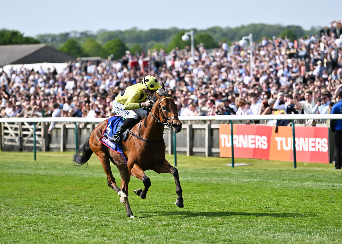 RacingTV's tweet photo. Billy Loughnane on Bow Echo:

🗣️ "Bow Echo has been the most unbelievable racehorse and has given me days in the saddle that I could only ever have dreamed of. To ride a horse like him at this stage of my career, and to win the 2000 Guineas, St James’s Palace Stakes and Sussex Stakes together, is something incredibly special.

“I can’t thank George and the whole team enough. George has trained him to perfection throughout his career and I feel incredibly lucky to have been Bow Echo's jockey in all six of his starts.

“Of course it’s disappointing that we won’t see him on the racecourse again, but he retires unbeaten having done everything that was asked of him. It has been a privilege to ride him and he’ll always mean a huge amount to me.”