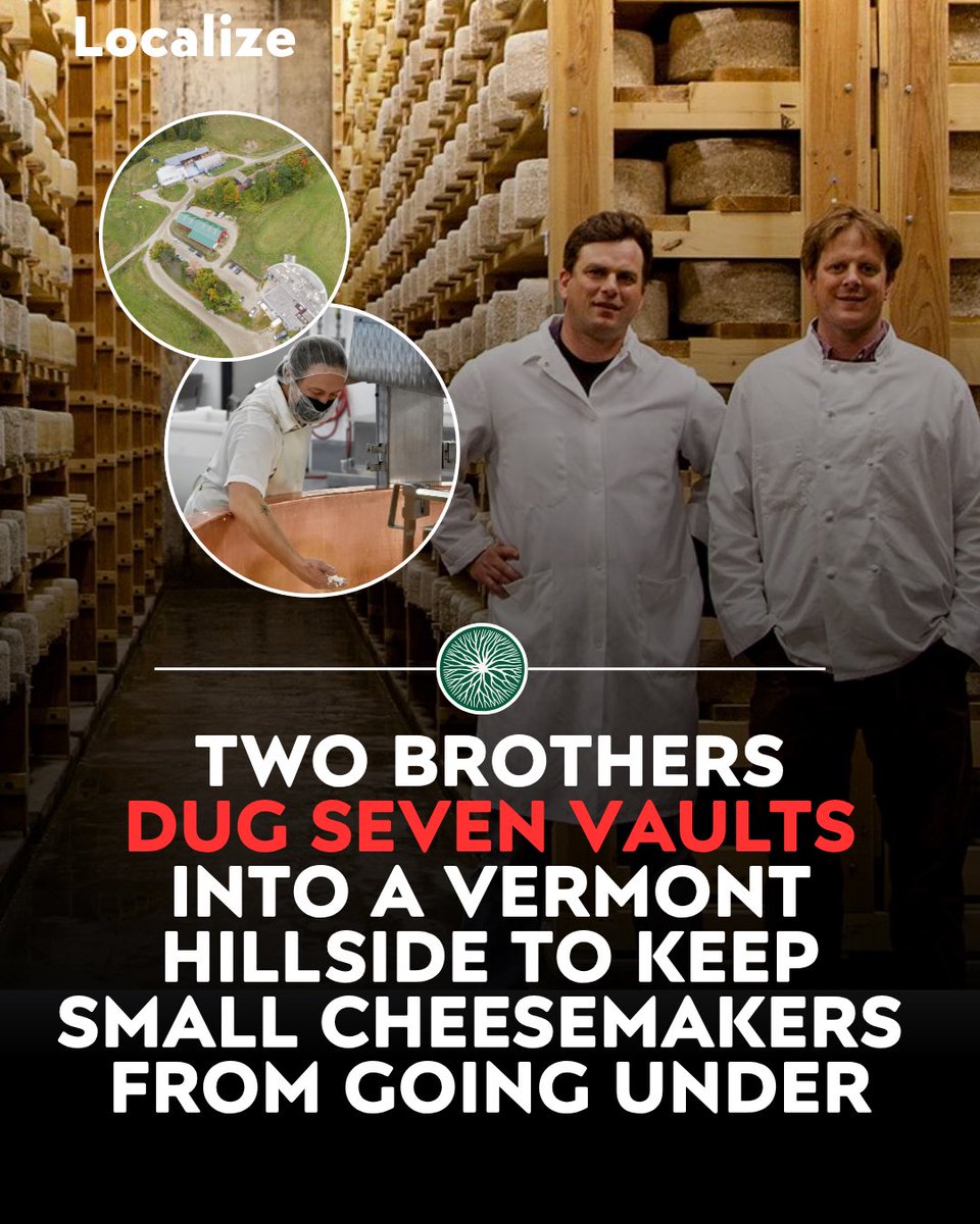 Localizefoodapp's tweet photo. Two brothers dug seven vaults into a Vermont hillside to keep small cheesemakers from going under

Andy and Mateo Kehler bought the old Jasper Hill farm in 1998 and spent five years restoring the barn and building a creamery

More than 70 percent of the labor in cheesemaking goes into aging it, which is the exact cost that kills small producers

So they built the Cellars, a 22,000 square foot underground aging facility with seven vaults dug into the hill

They now age cheese for other creameries too, so small makers can focus on their animals and their milk instead of the infrastructure

The herd is 45 Ayrshires, a low production breed kept because the milk makes better cheese

Find creameries and dairies like this near you on Localize