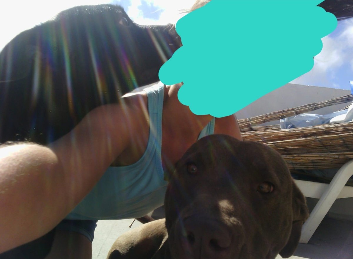 stfucess_'s tweet photo. Esta soy yo con 8/9 años sola con un pitbull y un stafford y la ultima foto mi prima con 1 y 2 añitos al lado del mismo stafford, dos perros considerados potencialmente peligrosos. El único peligro es la crianza de los dueños de esta clase de perros https://t.co/VVwmghc3di
