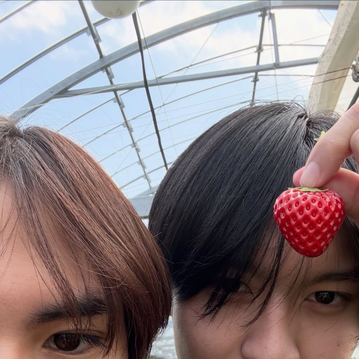 jonggpat's tweet photo. hello, im lily! and seeking for moots on #bltwt #gltwt 💗

! she/her • 21 • desi
! current ults: #ryujinpatji
! other faves: williamest kengnamping emibonnie milklove
! also like anime, kpop, manhwas, dramas, CATS etc 

pls like/rt to be oomfs i promise im nice <333 https://t.co/LfHNuINJm5