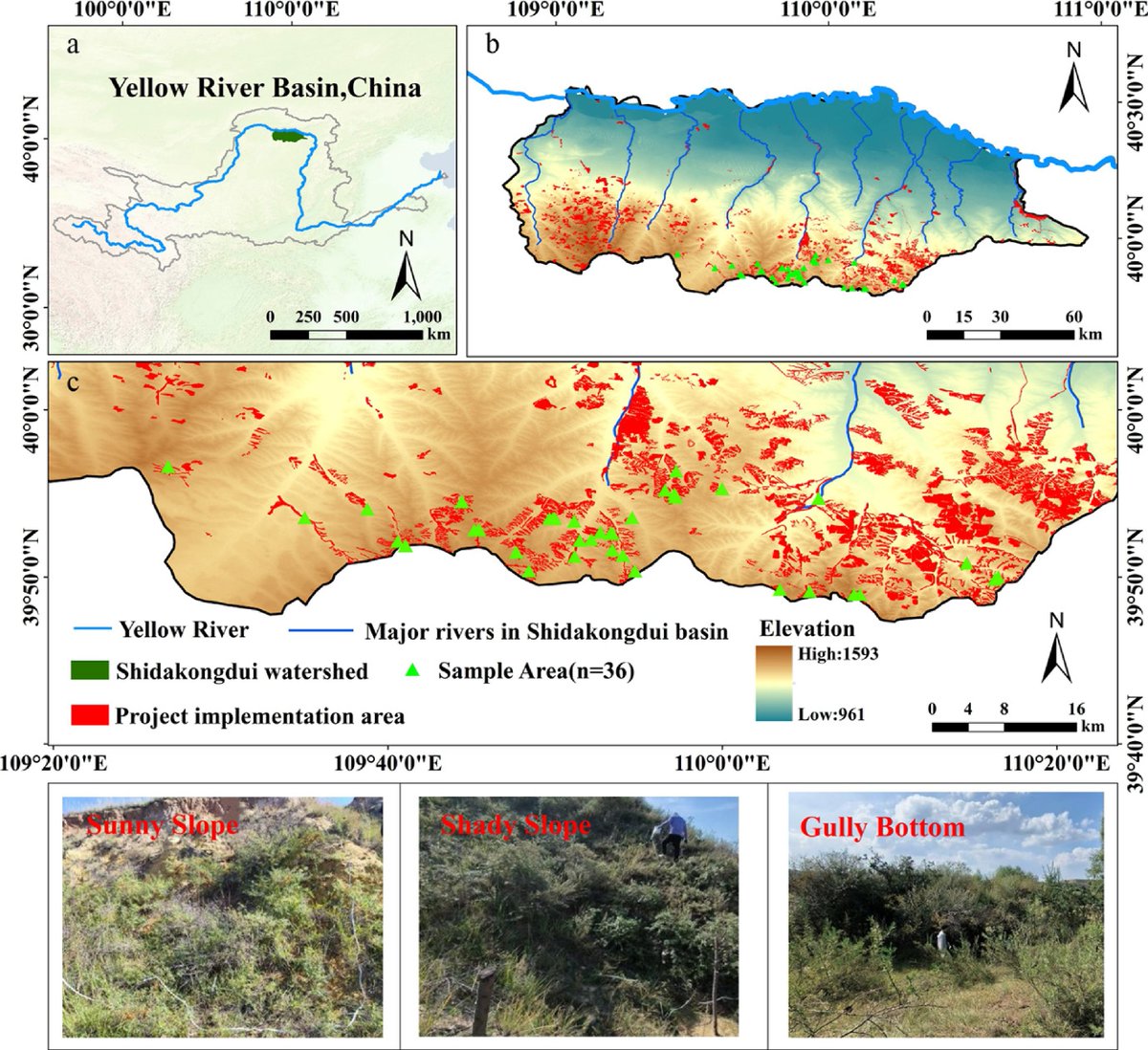 ForestryRes's tweet photo. #ForestryRes #instasea #remotesense #casa #carbonsinks
New remote sensing framework accurately maps sea buckthorn carbon sinks! Validating CASA model for China's 'Dual Carbon' goals in fragile ecosystems.
@MaximumAcademic @ecology_forest @agformet
Details: https://t.co/PoLd8O6QXA https://t.co/TwfKteEVwp