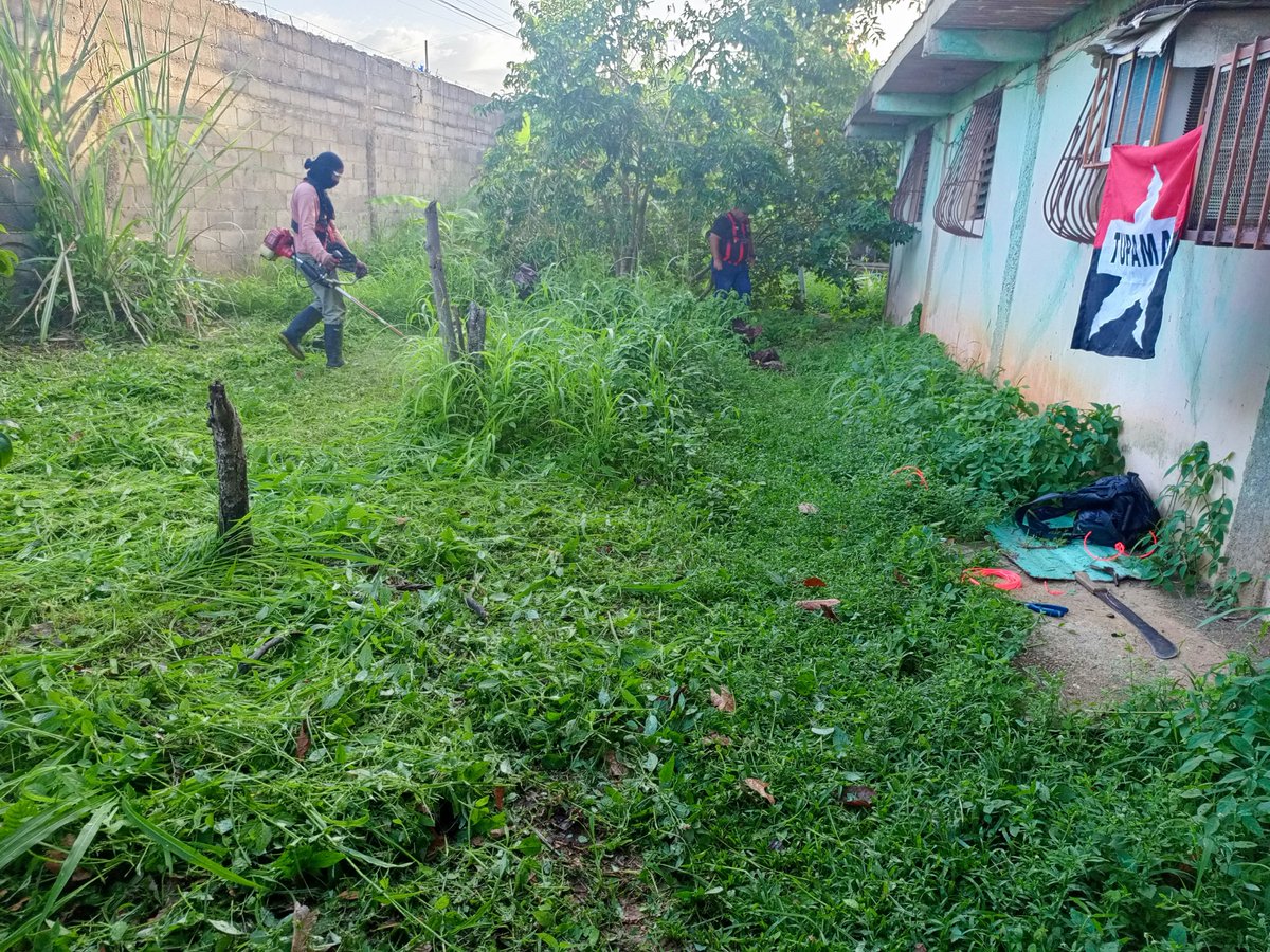 MaturinMrt's tweet photo. Cualquier espacio será propicio para sembrar la semilla ,del fruto,el amor,la esperanza y el esfuerzo 
desde el municipio Maturín se dio el primer paso para realizar un pequeño espació productivo de 
Berenjenas y ají,
dulce todo esto es posible mediante el trabajo colectivo. https://t.co/kzeJEz0Rku