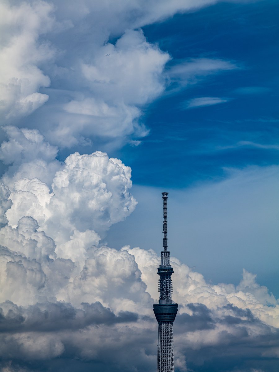 Sakashitagram_T's tweet photo. 夏雲。 https://t.co/MNUguI1tm7
