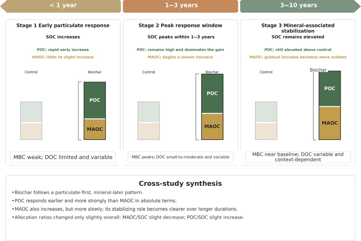 ForestryRes's tweet photo. #FRA #Biochar #SoilCarbon #MAOC #POC #CarbonStabilization
Meta-analysis of 26 studies shows biochar boosts SOC by 65.8% but favors POC accumulation (136.1%) over MAOC stabilization (42.9%).
@MaximumAcademic @Forest_Research @CAS__Science
Details: https://t.co/sPzFo51ldZ https://t.co/XjpsjvR5w4