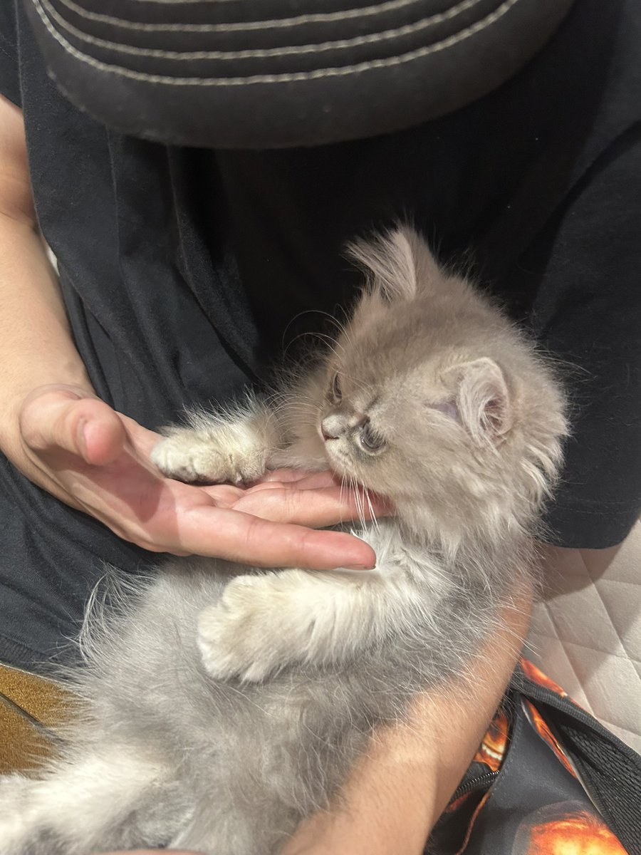 19017_'s tweet photo. ゆとくんにもぴのにも会いたいよー🧑🏽‍🦱🐾 https://t.co/ElypHSkbiA