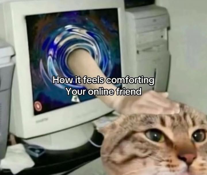 sillymeow4u's tweet photo. https://t.co/pGkq4y9uL0