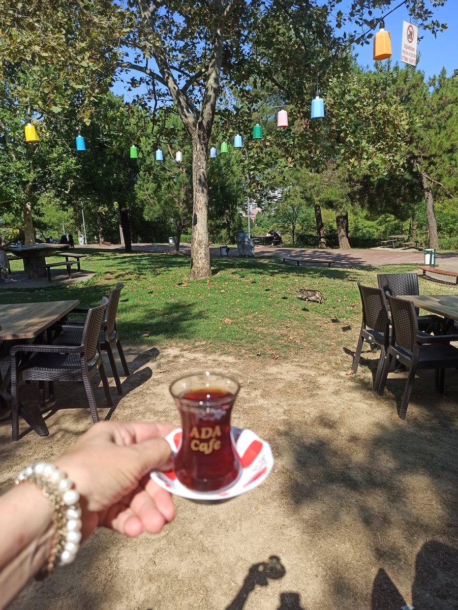 fatmazer1634's tweet photo. 🍂🍂🍂

/// İnsan. en çok vaz geçtiği şeylerden büyür.
                 Ve
 en çok sustuğu yerde 
derinleşir..

...

#Bursa günlükleri.. ☕🌼🤍 https://t.co/IziahxGU5S