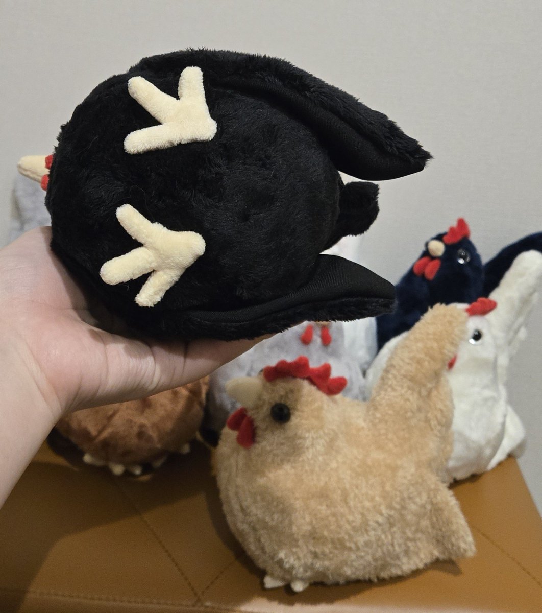 0116KJM's tweet photo. 本体を含め全パーツ型紙を作らず手書き、手縫いで制作しておりますため
お値段少し張りますが1羽¥8,000を予定しています。

ですが！そのおかげで、みんなお顔も姿も少しずつ違いますので是非ともじっくり見つめ合ってビビッ！と来た子をお迎えくださいね✨

#いきもにあ2026 https://t.co/X5z1LRCziP