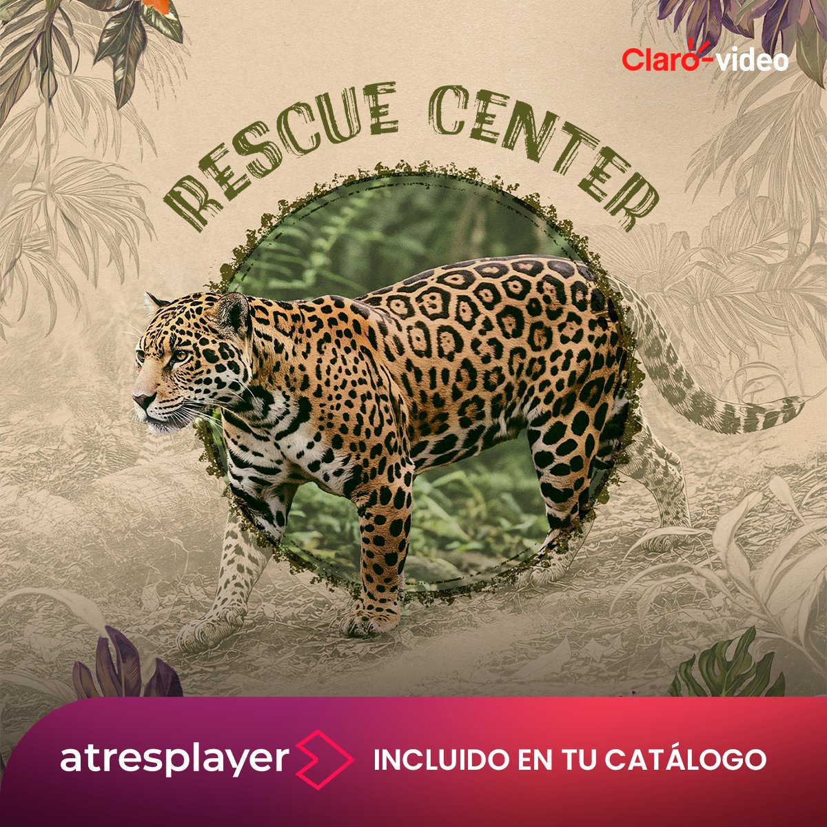 ClaroVideoMx's tweet photo. Una ventana a la biodiversidad y al amor por los animales que toda la familia tiene que ver. 🐒 💚 ¡Descubre 𝗥𝗲𝘀𝗰𝘂𝗲 𝗖𝗲𝗻𝘁𝗲𝗿 por #AtresPlayerEnClarovideo! 🐆 🌿 https://t.co/PsdPIzC38p

👁️ 𝐄𝐧𝐜𝐮é𝐧𝐭𝐫𝐚𝐥𝐨 𝐞𝐧 𝐭𝐮 𝐂𝐚𝐭á𝐥𝐨𝐠𝐨 👁️

@atresplayerint https://t.co/ivbbfsNySM