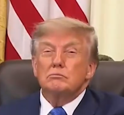 M_K_Petersen's tweet photo. #SleepyDonald #CrazyTrump https://t.co/ekAsyPQvlp